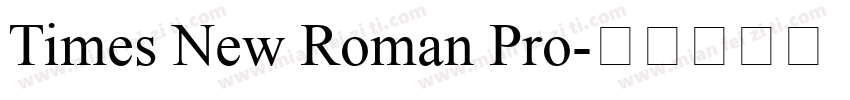 Times New Roman Pro字体转换